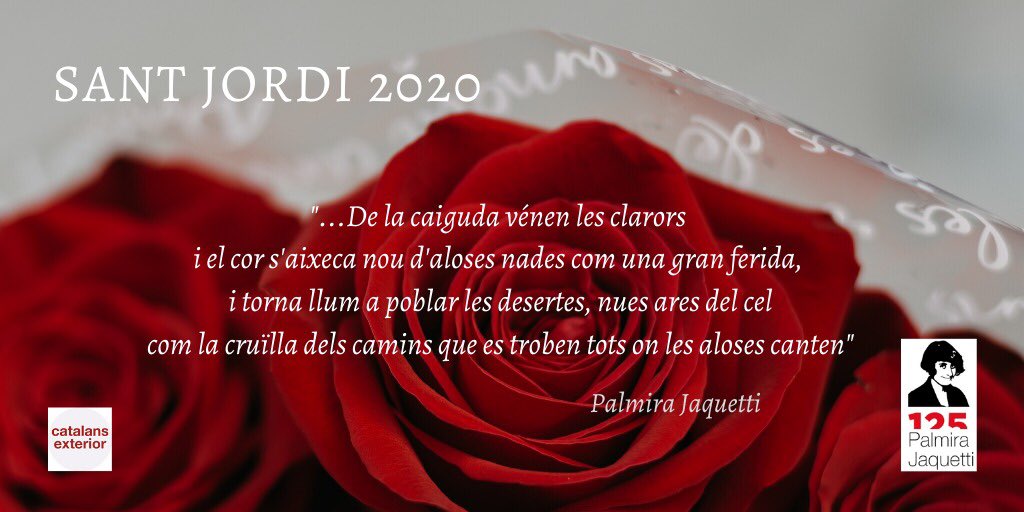 🌹 Que tingueu una gran Diada de Sant Jordi