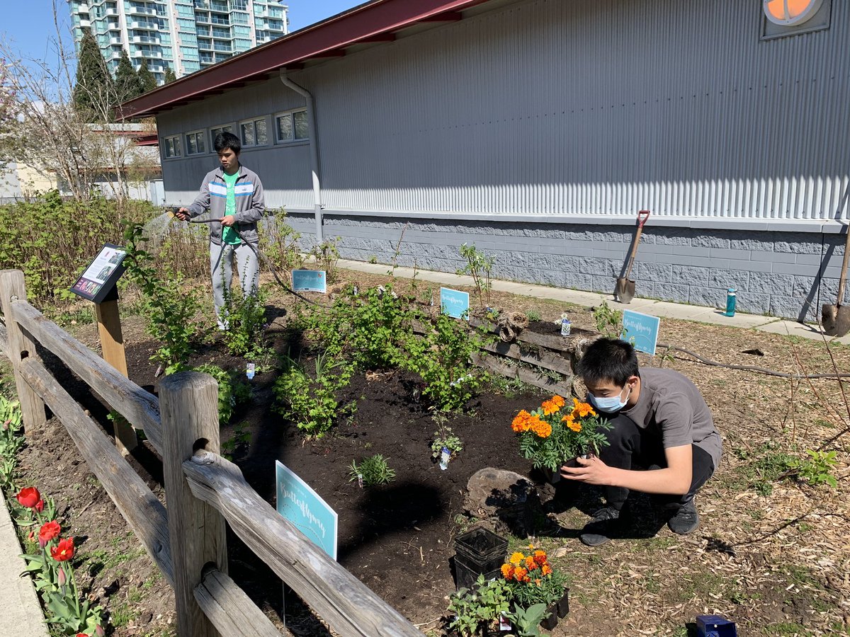We’ve been replanting our pollinator garden and experimenting with bunny-resistant plants. Most got decimated, but we found a few bunnies won’t eat! Stay tuned for blooms!