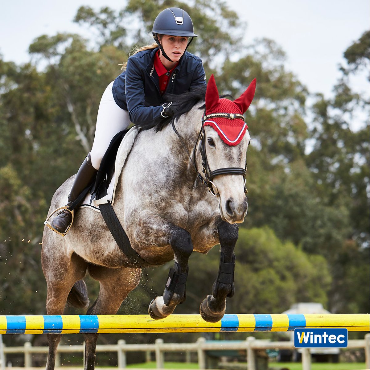 🐦Time to FLY! 🐦

He feels so free when we soar over the jumps - and I love the grippy seat and knee pads for stability! 

Whatever your discipline, find your next Wintec saddle at ➡️ wintec-saddles.com 

#wintecsaddle #wintecsaddles #noleathernolimits #timetoride