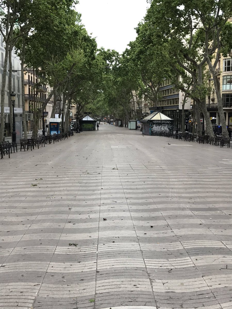 marga_riga's tweet photo. 23 d’abril 2020. 8h. Sant Jordi. La Rambla de Barcelona. https://t.co/dctczldcfk