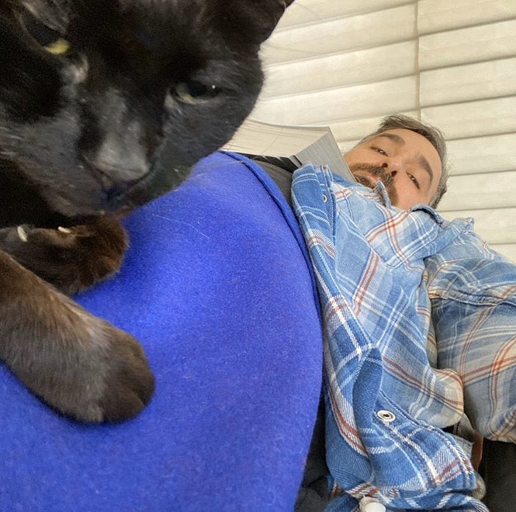 Q and kitties