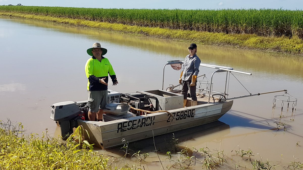 NQDRYTROPICS's tweet photo. This time last year we held an event to connect scientists with farmers. @TropWATER reps visited the lower Burdekin to meet cane growers to discuss wetland health, fish passage &amp; water quality. They also performed an electrofishing demonstration @CANEGROWERS  #ThrowbackThursday https://t.co/zfmTCmV3Jq