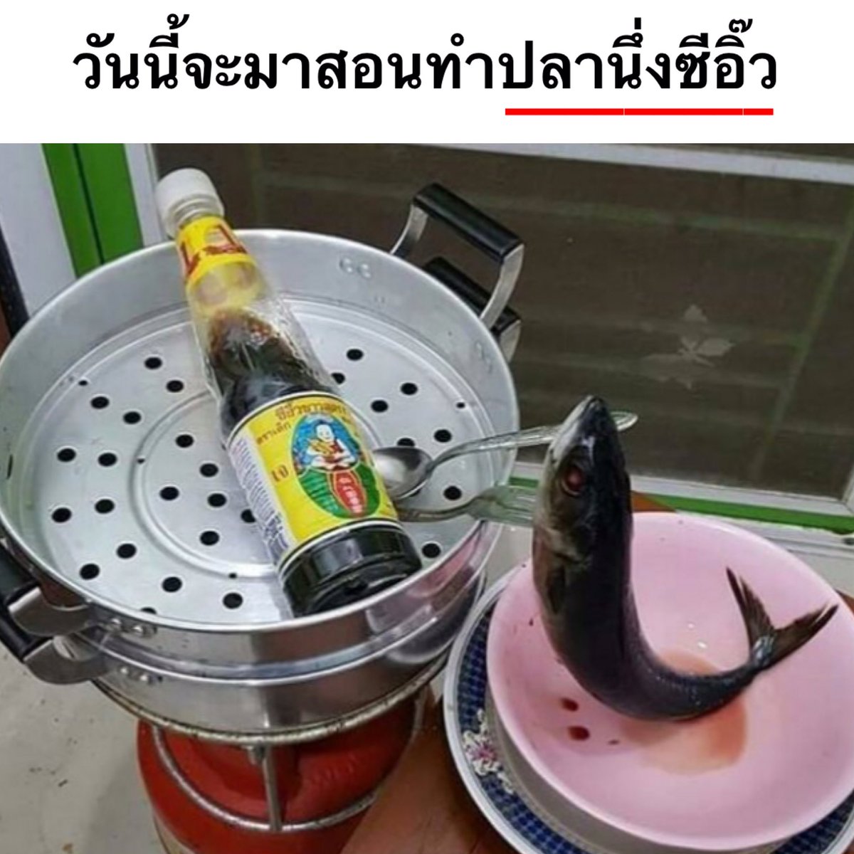 peachorplease's tweet photo. อันนี้คือเหี้ยมาก จะต้องขำทุกทีที่เห็น 55555555555555 #มุกพาย https://t.co/NPuhR3ch0L
