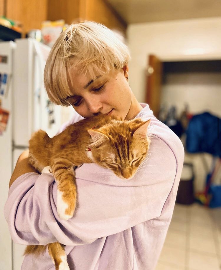 tiLLie and kitties