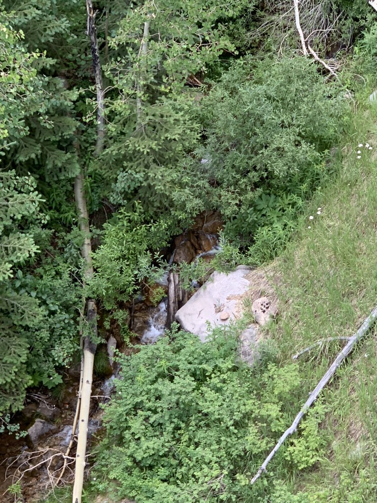 fergies_class's tweet photo. Thank you Jill @DSEcounselor for reminding us to find #mycalm. Nature always refreshes and recharged me. #PDinyourPJs #beDSE https://t.co/e9813980wt
