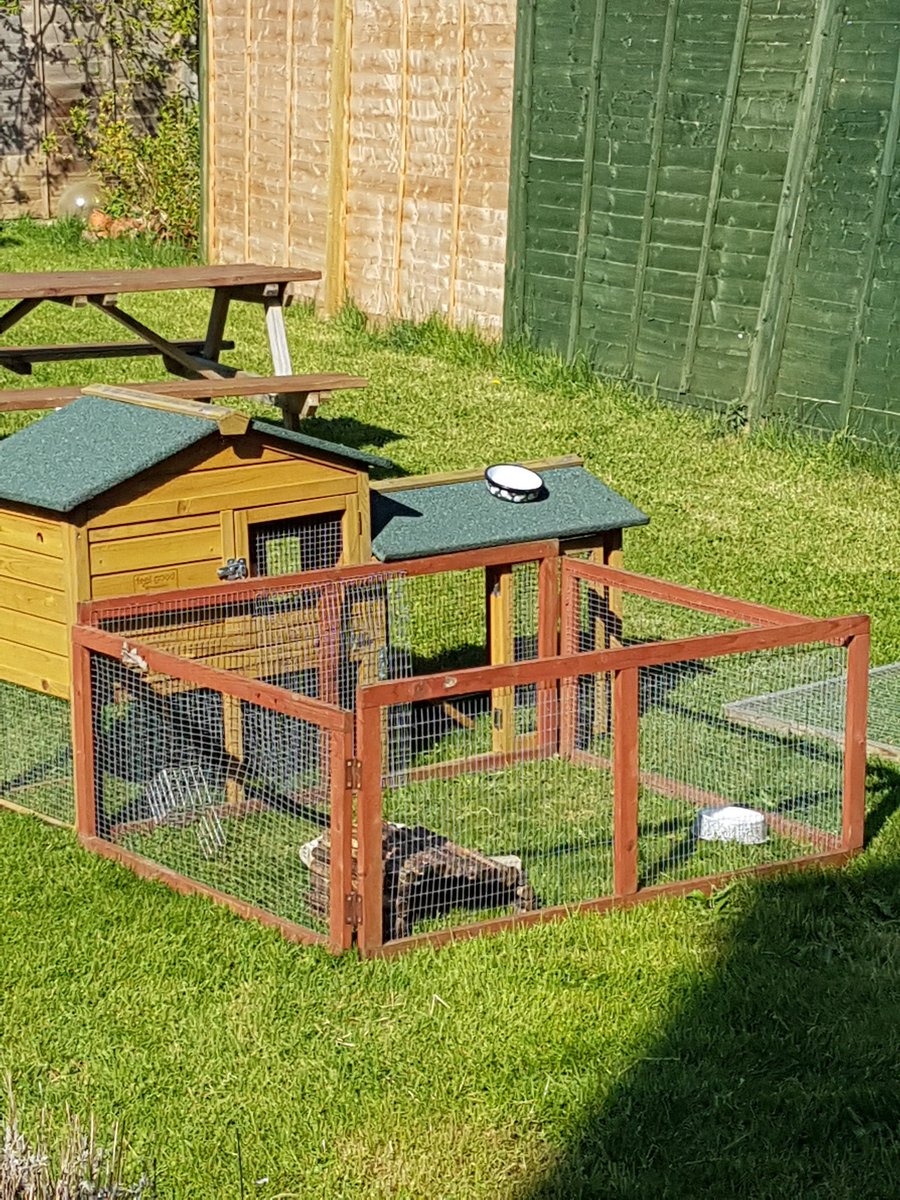 Lynseydocherty1's tweet photo. @Number10cat Larry. They're always around. Found a new pad. Social distancing sorted. Keep up the good work #CatsOfTwitter #CatsOfTheQuarantine https://t.co/MbMwWwuHG0