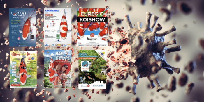 KoiQuestion's tweet image. Koi Show seizoen 2020 geveld door Corona; of toch niet?! - bit.ly/2VuJiwN |Corona, koi shows