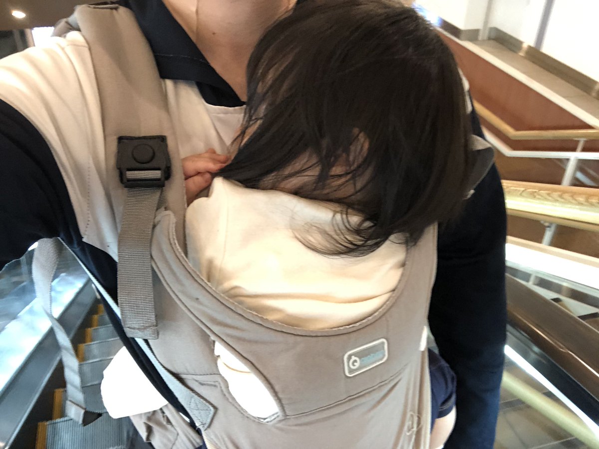 アルケオエイビス