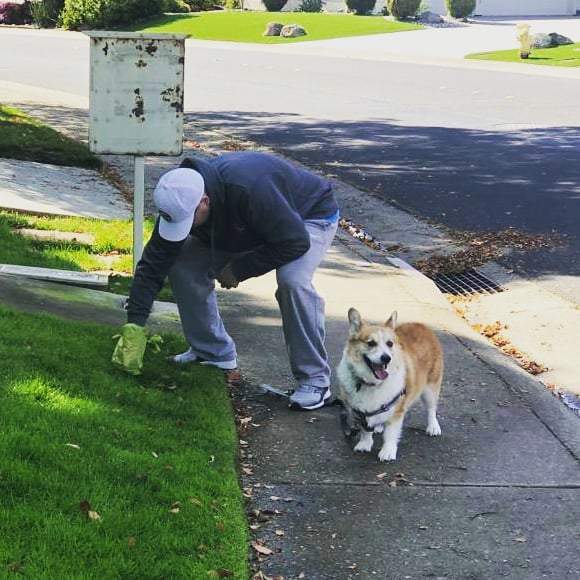 rhinothecorgi's tweet photo. Just doing my part to keep Mother Earth clean #happyearthday🌎 #thanksdad #EarthDayAtHome #Corgi https://t.co/uiDzX38JTf