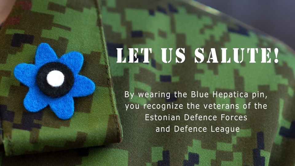 Today is #VeteransDay in Estonia! 
🔵⚫️⚪️
@BALTDEFCOL family alltogether supported the Blue Hepatica Campaign with over 300 euros 👏 HEAD VETERANIPÄEVA! @Kaitsevagi @kaitsemin 🇪🇪🇪🇪🇪🇪 #annameau #sinilill
