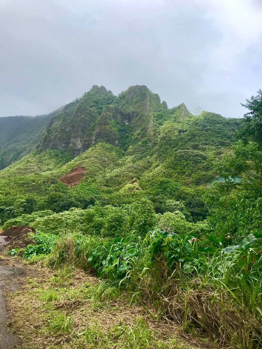 AnitaNREM's tweet photo. For her NREM capstone project, @cldemattos will work with @papahanakuaola to develop information on the range of #invasivespecies and potential impacts in order to improve management practices and help their goal of restoring native ecosystems #NREMseminar
https://t.co/5hzTd4WiDW https://t.co/LFmIXklNKE