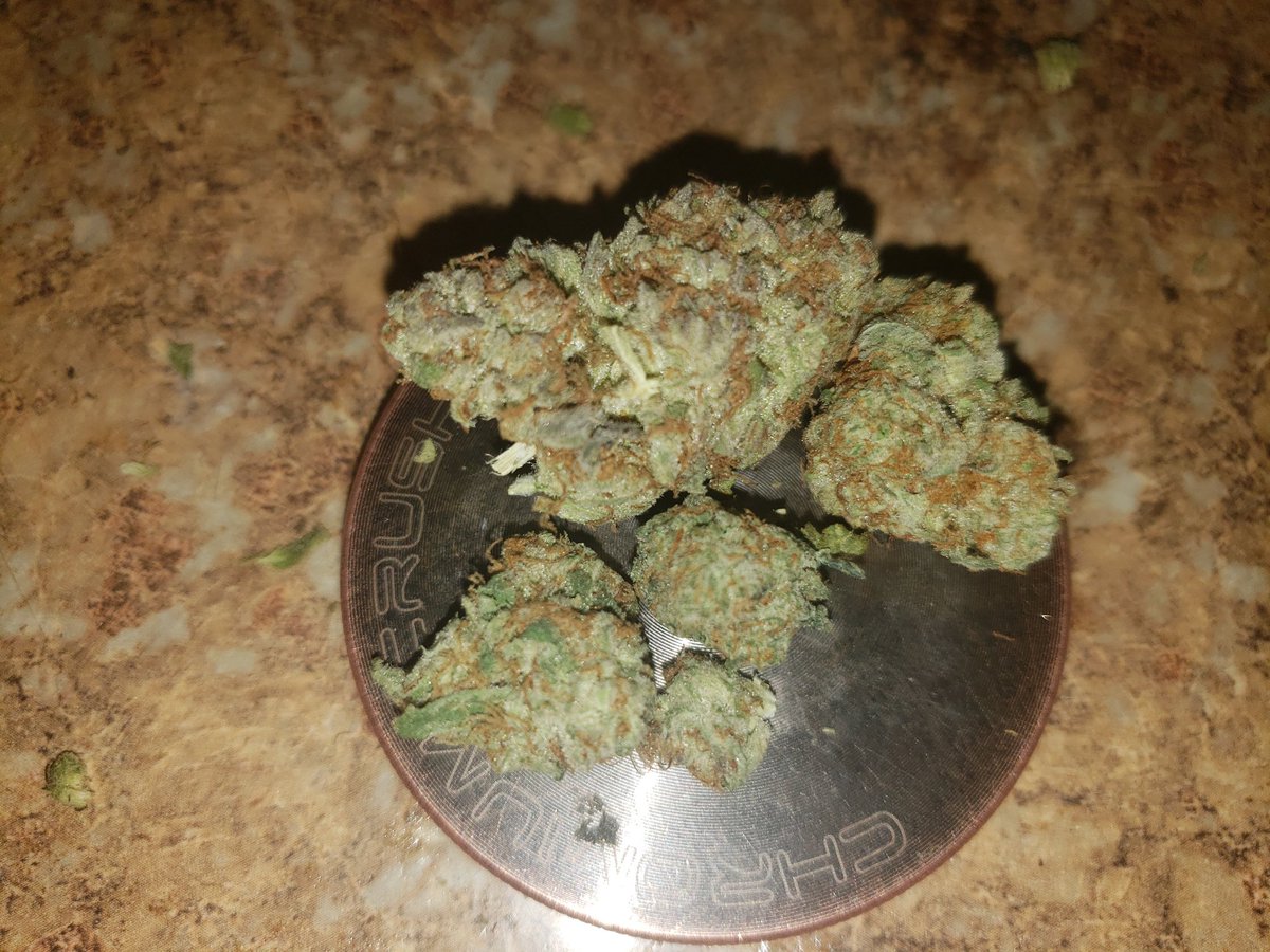 420_Barbie's tweet photo. #nofilter #girlswhosmokeweed #weed ❤💛💚 #Marijuana #cannabis #THC #ganja #kush #chronic #420barbie #thatloud #Maryjane #flower #motamamis #trichromes #smokeweedeveryday #womenwhosmokeweed #purps https://t.co/wMhwpItsJn