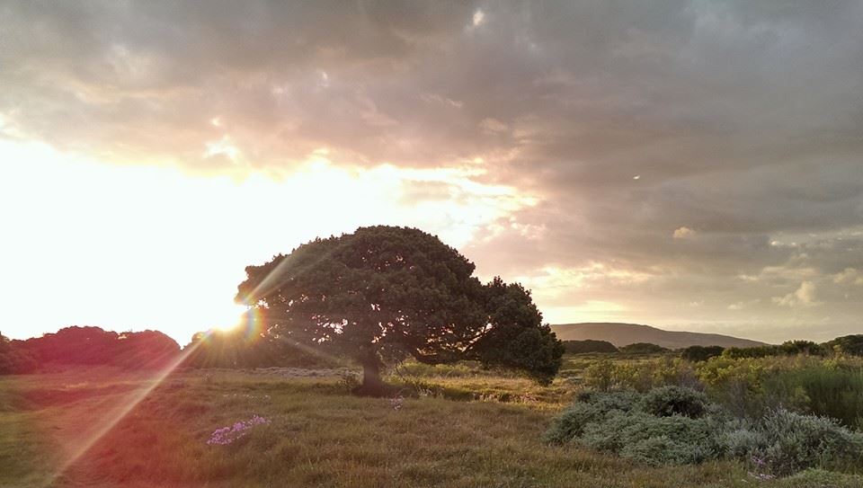 haztravrcc's tweet photo. We keep on celebrating #50YearsOfEarthDay! Do you also miss nature while being stuck at home? Come watch with us the marvellous “The Twelve" on #Vimeo #HopeFromHome #HopeForEarth 

https://t.co/WyEwFBCxeX https://t.co/WZHhPh0fnx