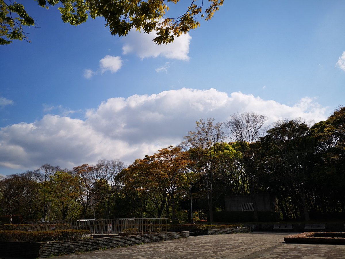 icconnect_news's tweet image. 遅めの休憩は、近所の公園でポタオデ。ちょっと風が強いけどいい天気です。
#astrotec  #phoenix #colorfly #U6