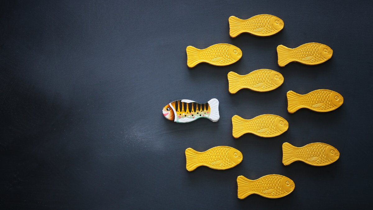 Cette période nous amène à entreprendre de nombreuses réflexions 🤔  Aujourd'hui, c'est au tour de Bérangère : Etes-vous recruteur ou imposteur 🕵️‍? 

Retrouvez l’article de Bérangère Gonzalez  👉 buff.ly/2RXx9OQ

#LesDéconfinésIT #Recruteur #Imposteur