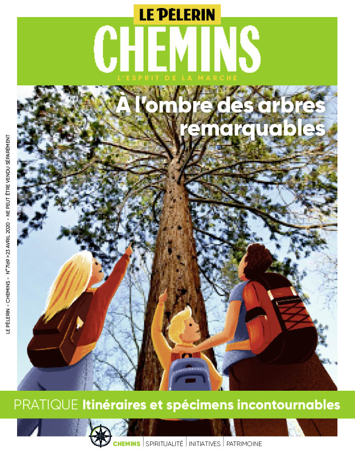 Estelle_Co's tweet photo. Quoi de neuf dans le nouveau @LePelerincom  ? Un cahier spécial consacré aux arbres remarquables ! Une bouffée d'oxygène dans ce contexte confiné. A découvrir gratuitement, la version numérique  sur : https://t.co/y6p73Hwg8g https://t.co/PhJcZxwV5y