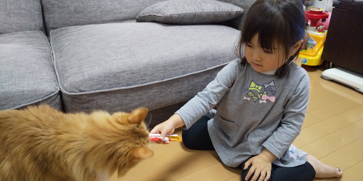 AtelierRainbow_'s tweet photo. 昨日は『せんせい』の12歳の誕生日でした🐈️🎂

寝てばっかりで、おじいちゃんぽくなってきたけど今でも甘えん坊なせんせい。
急に大声を出したり、泣いたりするからか、娘は少し恐いみたい(笑)
娘が寝てからとか、隙を見て甘えてきます😁

昨日は久々にチャオちゅーるをもらってご満悦。 https://t.co/RYDgk2PQZL