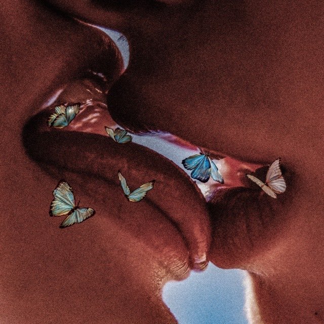 piperiveyy's tweet photo. A mood board:
🦋✨🧚🏼‍♀️ https://t.co/4UP4vNzoj8