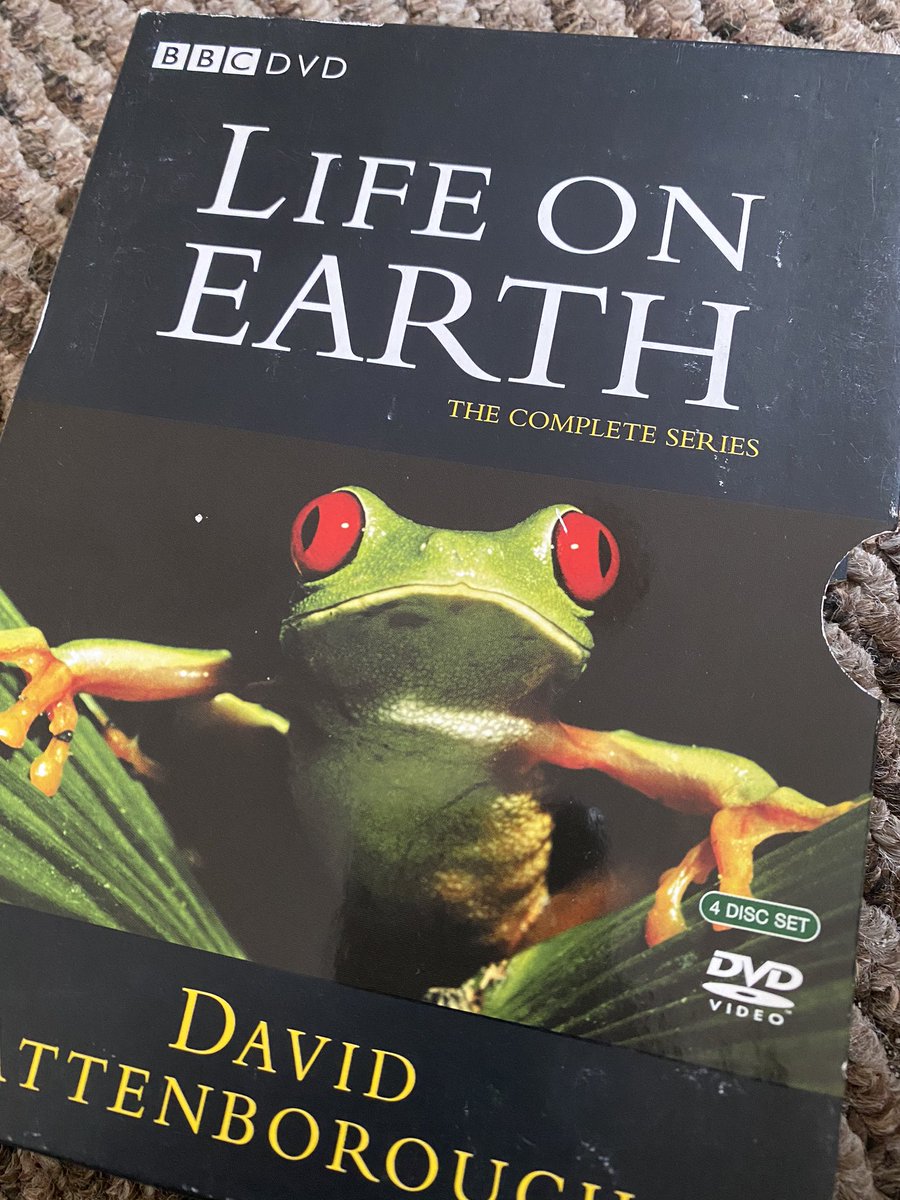 Woke up early, watched an absolute classic. Ep. 12 Life in the Trees from the very first mega BBC series Life on Earth (1979!). The episode is all about  #primates so check back again sometime later today or tomorrow for some thoughts & analysis! -AG  #BangorDoesPrimates  #pregame