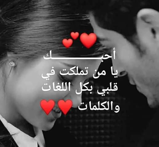 RamadanEsmail9's tweet photo. @FaridaOfficiall https://t.co/B6DcSXQhMl