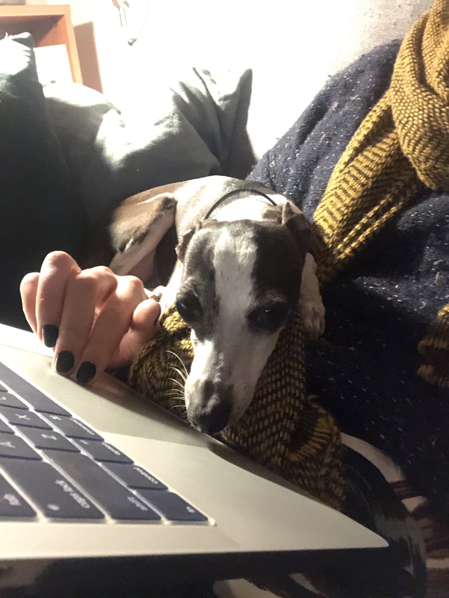 Reading on the couch? Here to help 