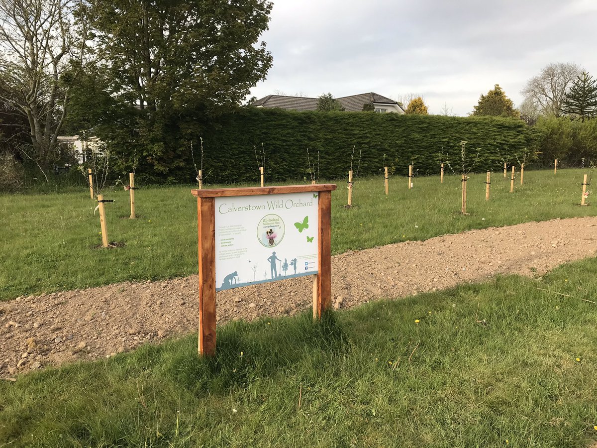 calverstown's tweet photo. Lovely to see two new community orchards in Calverstown estates beginning to bloom for pollinators and residents 🐝🦋🐝 sponsored by @KildareCoCo @KildareHeritage @PollinatorPlan https://t.co/iNeHl1jDFw