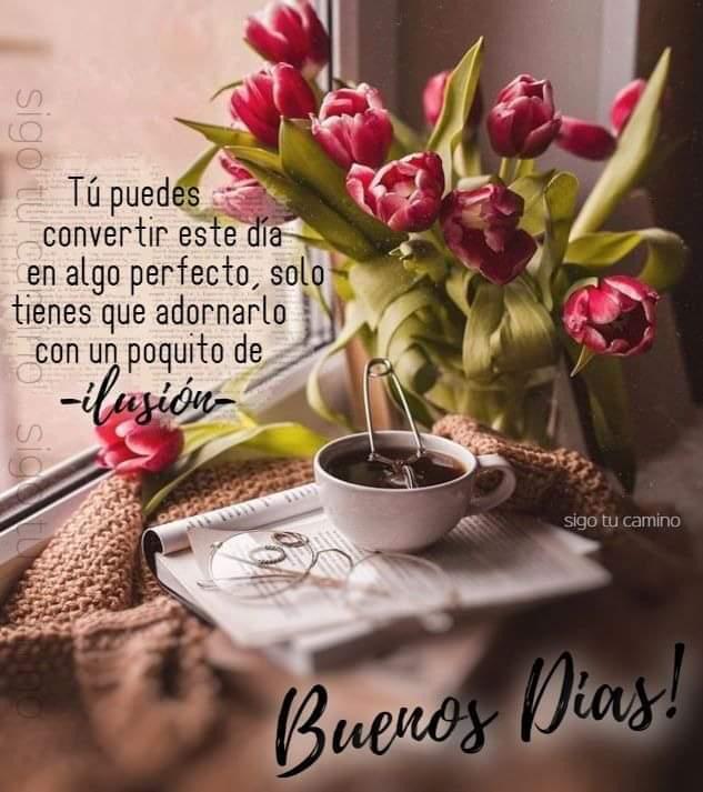 Rocio M Pita Vera on Twitter: "@rafjuan @luisgalindo_lg @sanboc  @NOEMIMATEOS @NohemiMelgoza @amaliacarros @celesgalan64 @Honorio_Cordoba  @MARIPIGADET @Maria_FGF @BMarianaya ¡Gracias Rafael! Buenos días a todos.  #UnDíaMenos y seguimos optimistas, sanos ...