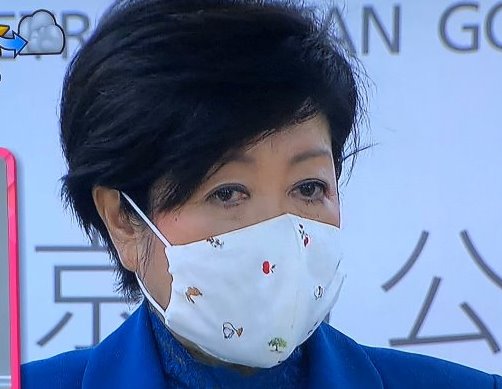 小池百合子のマスクはどこのメーカー 大きい 柄が逆でかわいい姿も Sani Lessons