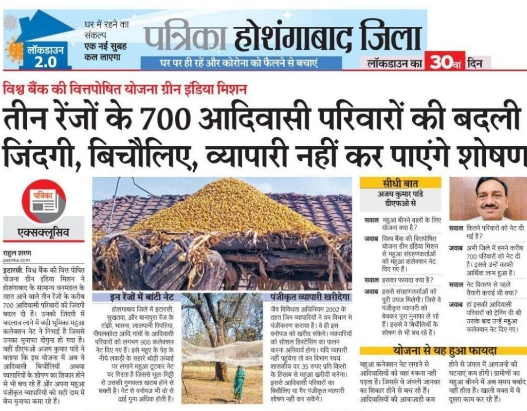 Wonderful initiative by #DFO Hoshangabad, MP. It has twin benefits: ~Brings down #humananimal conflict for #Mahua collectors (the State witnessed a few deaths in a month) ~Better quality of Mahua fetches more price in the market. ~Must be replicated elsewhere. @ChouhanShivraj