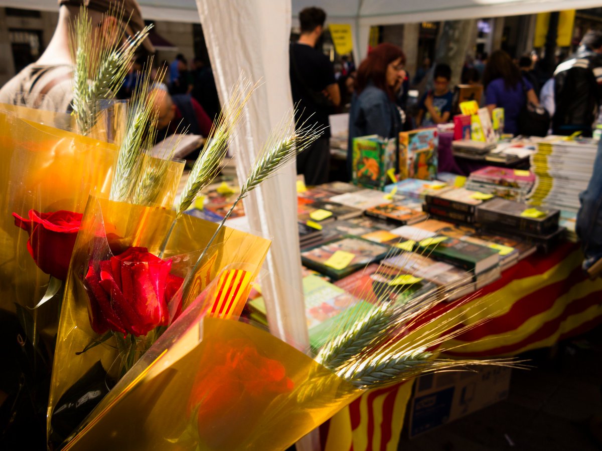 microptic's tweet photo. Happy Sant Jordi’s day (Saint George) at home! 23 April is one of the most important celebrations in Catalonia (our patron saint). On this day, couples exchange roses and books. This year a little bit different: at home… #santjordi #santjordi2020 #saintgeorge #microptic https://t.co/fVN0Wxyqqa
