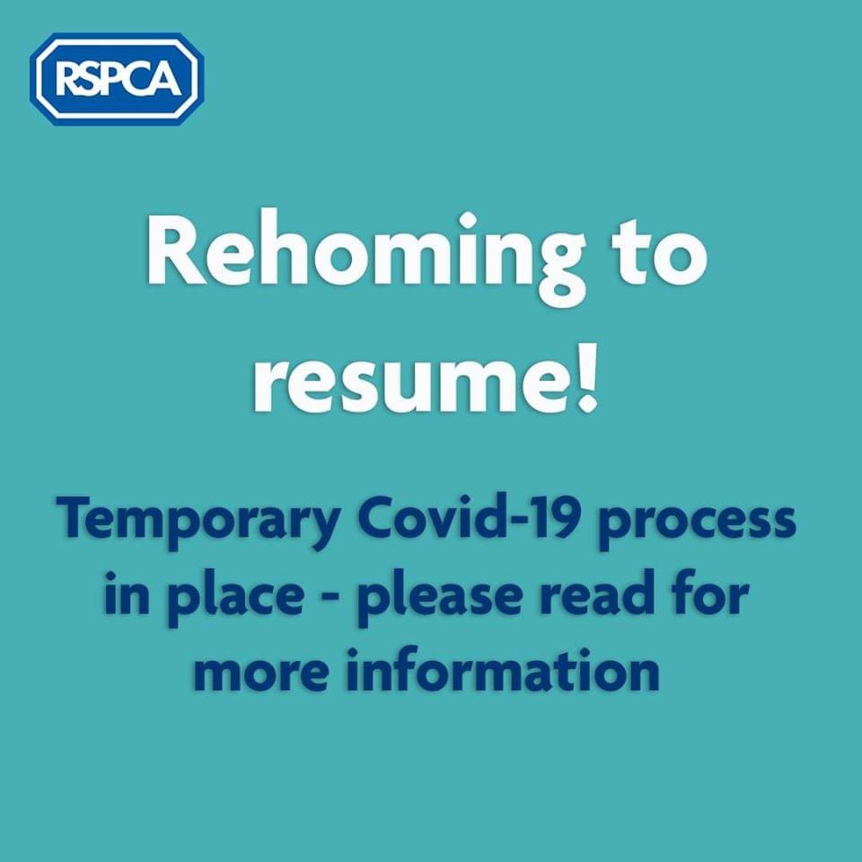 RSPCA North Somerset (RSPCA_NSomerset) Twitter