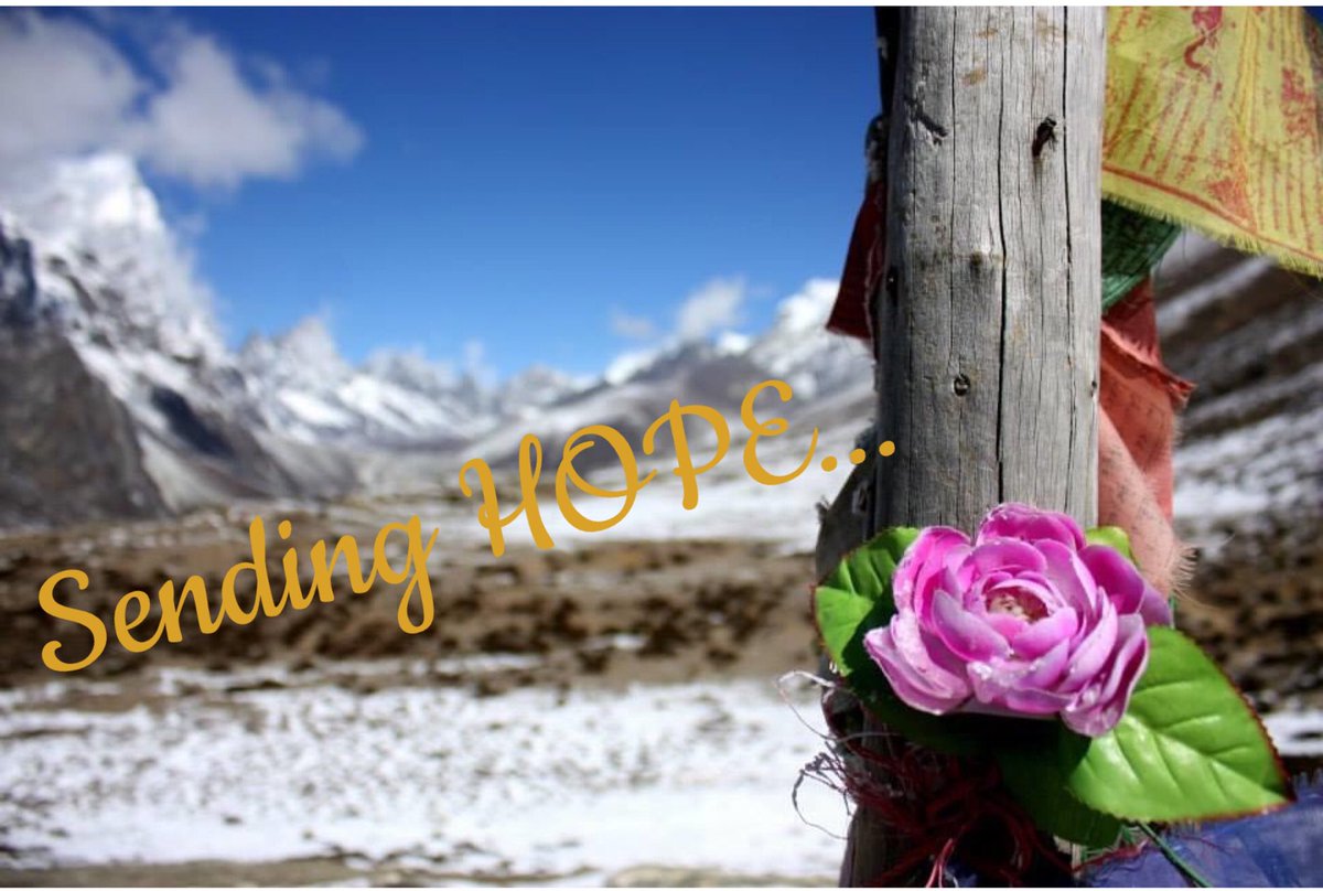 Nottshcpeersupport tweet media