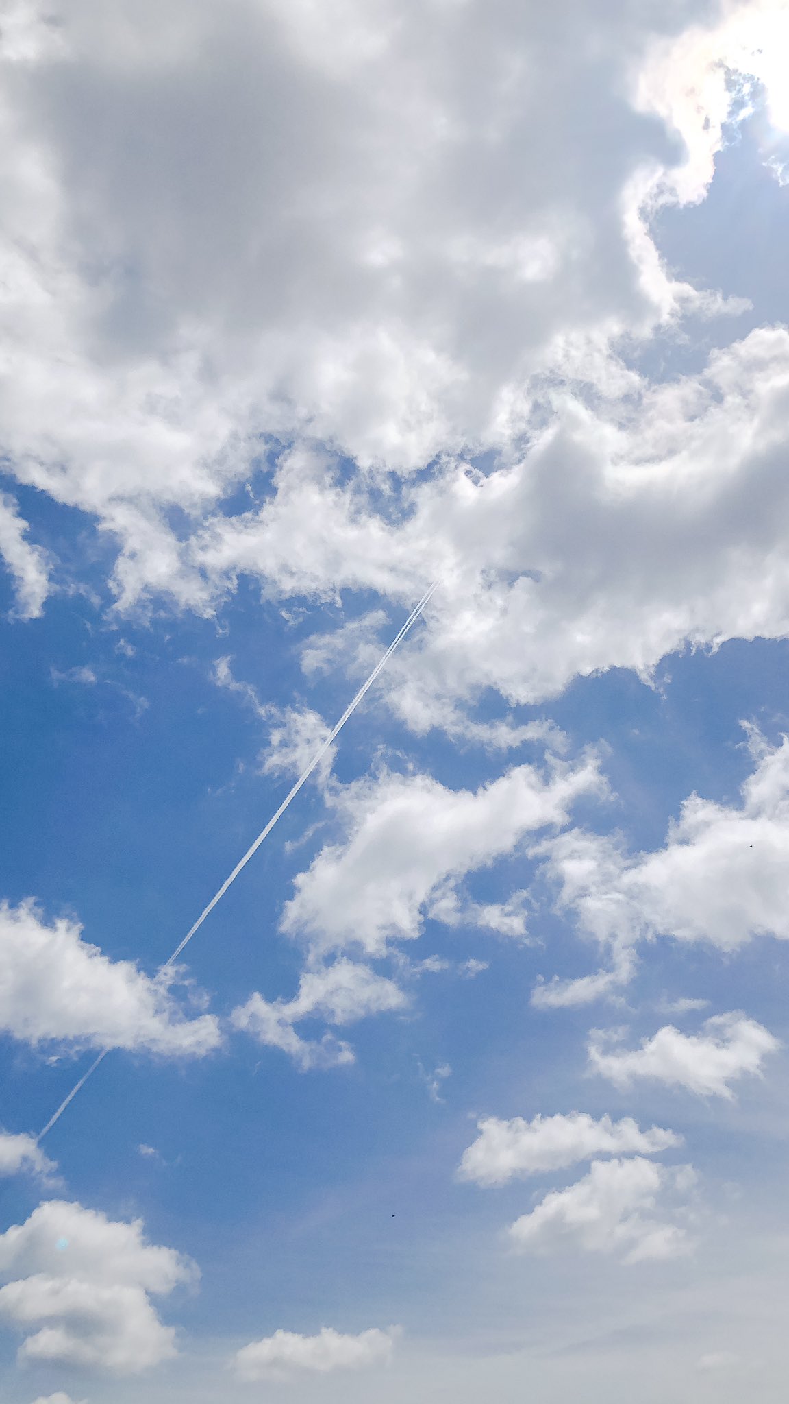 いちくん 今日の飛行機雲がめちゃめちゃ綺麗だったから撮った 待ち受けサイズにしたらいい感じ T Co 11bmeor2z6 Twitter