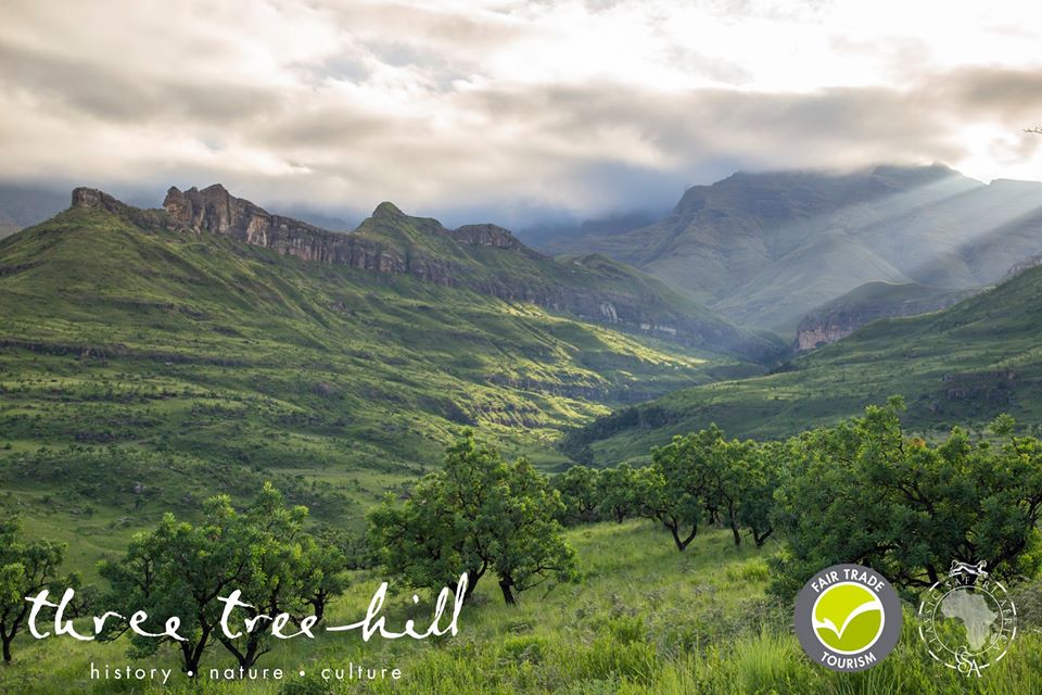 Places we'd rather be right now? <a href="/ThreeTreeHill/">Three Tree Hill</a> is definitely on the list. 

classicsafariafrica.com/south_africa/t…

#Drakensberg #SouthAfrica #Travel #Lodge