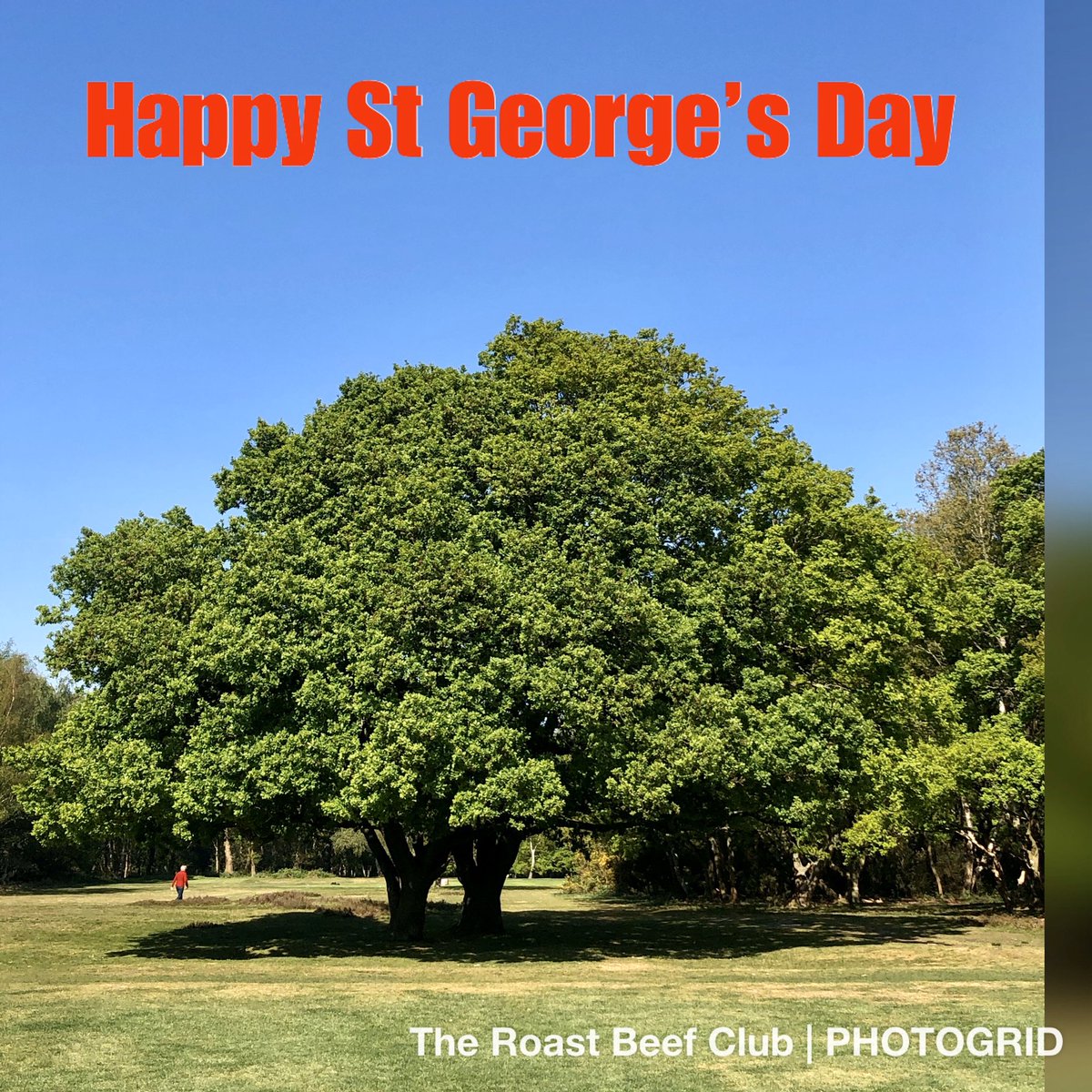 roastbeefclub's tweet image. Happy #StGeorgesDay everyone 🏴󠁧󠁢󠁥󠁮󠁧󠁿 🏴󠁧󠁢󠁥󠁮󠁧󠁿 

Follow your spirit, and upon this charge
Cry 'God for Harry, England, and Saint George!'