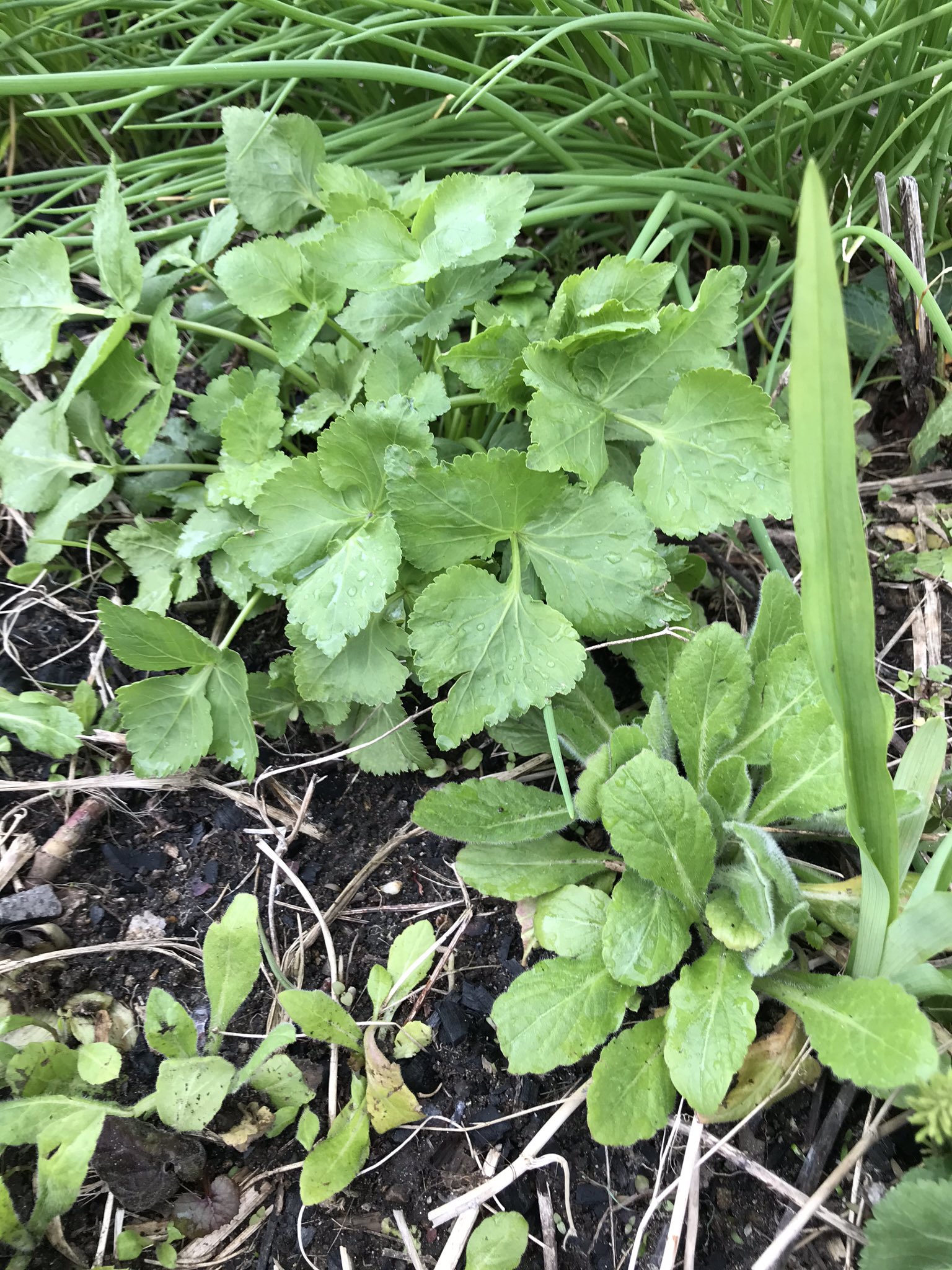 上杉鷹山公 Twitter Search Twitter