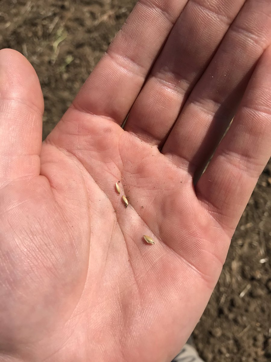 CJCLee (Saxthorpe) Ltd tweet media