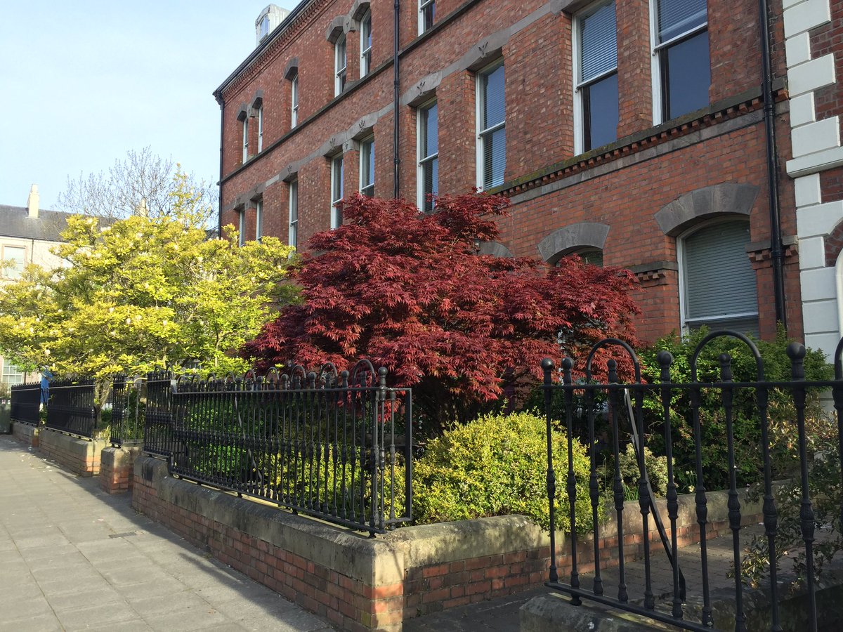 Emmamckenna's tweet photo. And as for #UniversitySquare a bit late for #EarthDay2020 but how glorious does it look right now #LoveQUB https://t.co/gqfU7662Jy