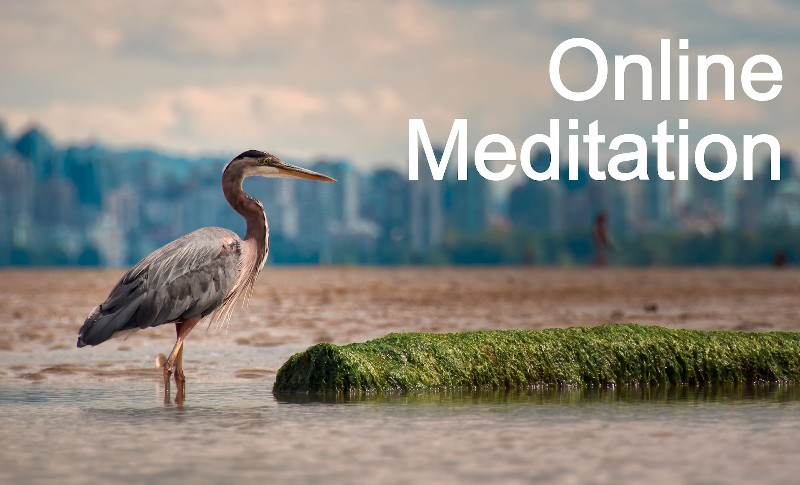 MarkusWittwer's tweet photo. Routinen sind wichtig. Deswegen: Diesen Freitag wieder Online-#Meditation: 30 min High Intensity Fitness Training für den "Gelassenheits"-Muskel. Danach dann mit mehr Klarheit und Fokus rein in den Rest des Freitags
#Mindfulness #MindAsCode
https://t.co/9eAXsw6mkG https://t.co/tXtjfACmdm