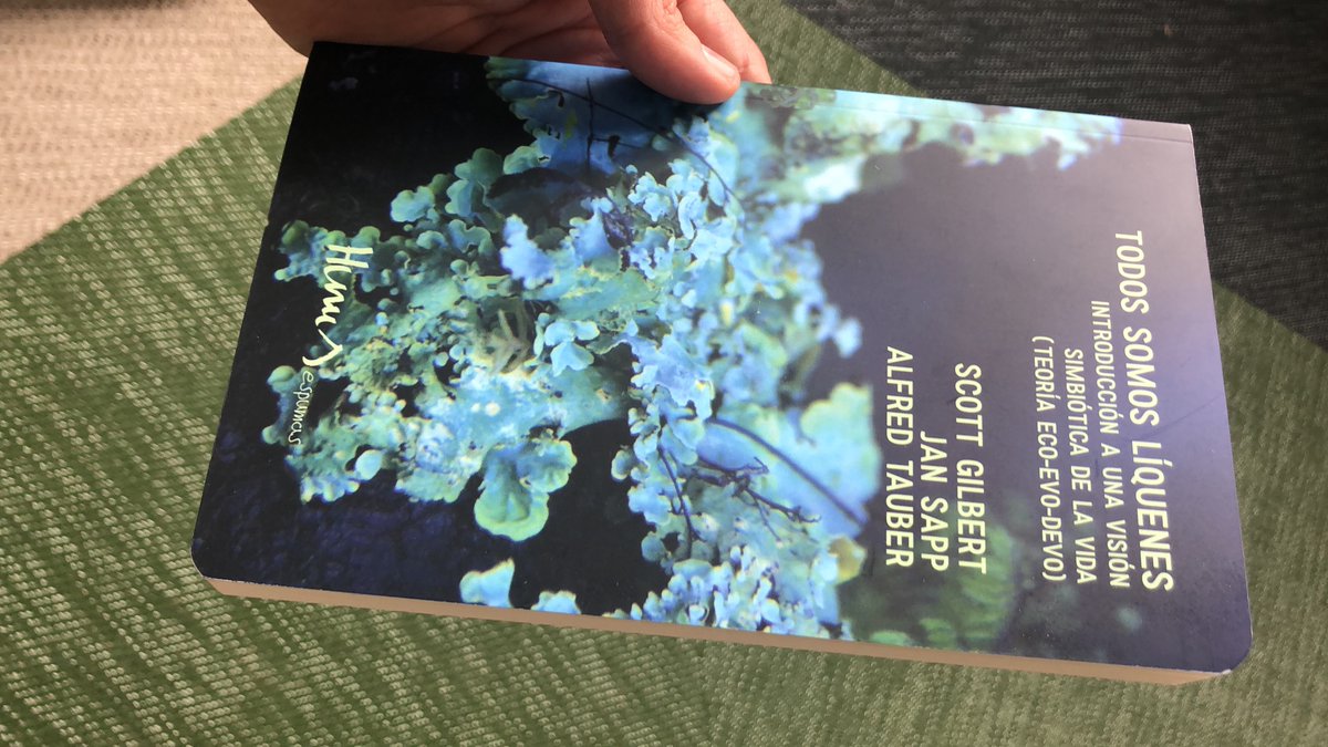 Cosechas, imagen y sistema inmunológico.

👉🏼 instagram.com/p/B_UIN9Cg9EQ/…

#SectorPrimario #Imágenes #Cosechas #Habitar #Simbiosis #Holobiontes #Harvest #MediosRurales #VisualStudies #Inhabit
