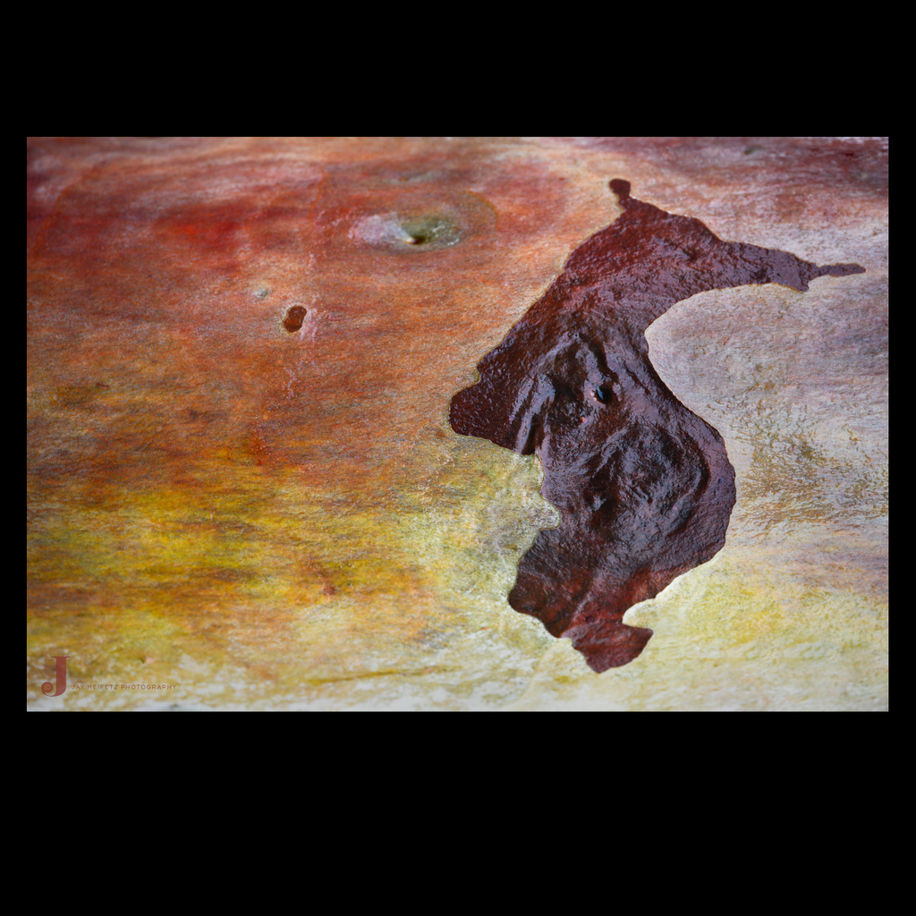 JayHeifetz's tweet photo. Natural beauty in another tree's bark from today's neighborhood walk https://t.co/wG0W4WSxLL #nature #trees #photography #landscape #outdoors #naturephotography #naturelovers #art #mothernature #bark #texture #treebarktexture #treetrunk #socialdistancing #southwesternaustralia https://t.co/CI45AohZf2