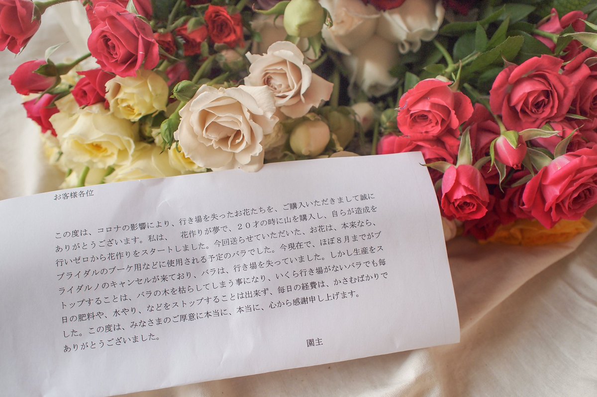 shc_xrin's tweet photo. 農家さんからの添えられてたお手紙がもう本当に泣けてくる。微力だけど自分ができることを少しずつ。
#ロスフラワー https://t.co/mGUh2uMZtt