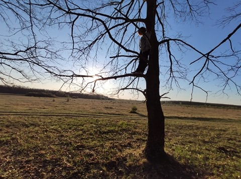 Illés Éva tweet media