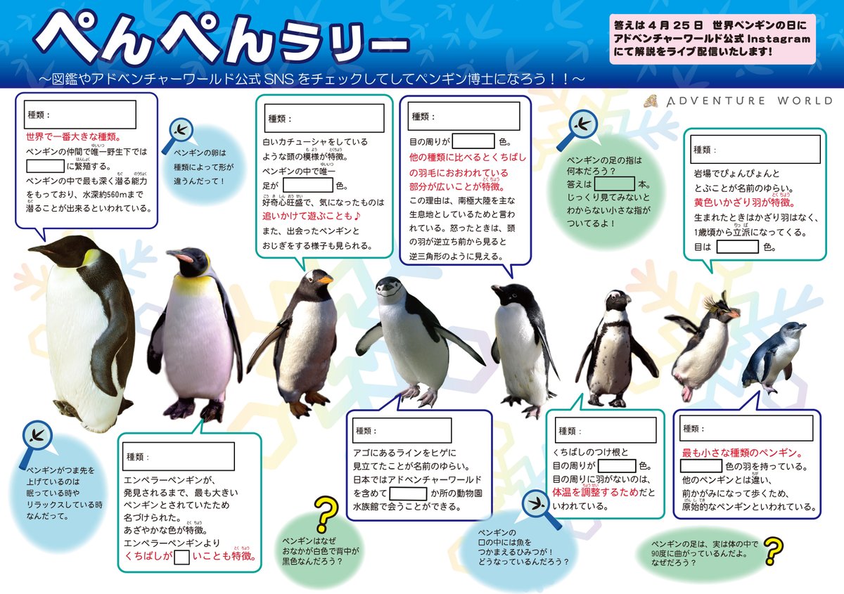 アドベンチャーワールド 公式 8種類のペンギンがクイズになって登場 毎日配信中ペンギン たちの投稿や図鑑を見ながら空欄を埋めてみましょう 4月25日 土 13 00 Instagramライブ配信実施 これであなたもペンギン博士 ペンギンweek アドベンチャー アドベンチャーワールド 公式 8種類のペンギンがクイズになって登場 毎日配信中ペンギン たちの投稿や図鑑を見ながら空欄を埋めてみましょう 4月25日 土 13 00 Instagramライブ配信実施 これであなたもペンギン博士 ペンギンweek アドベンチャー