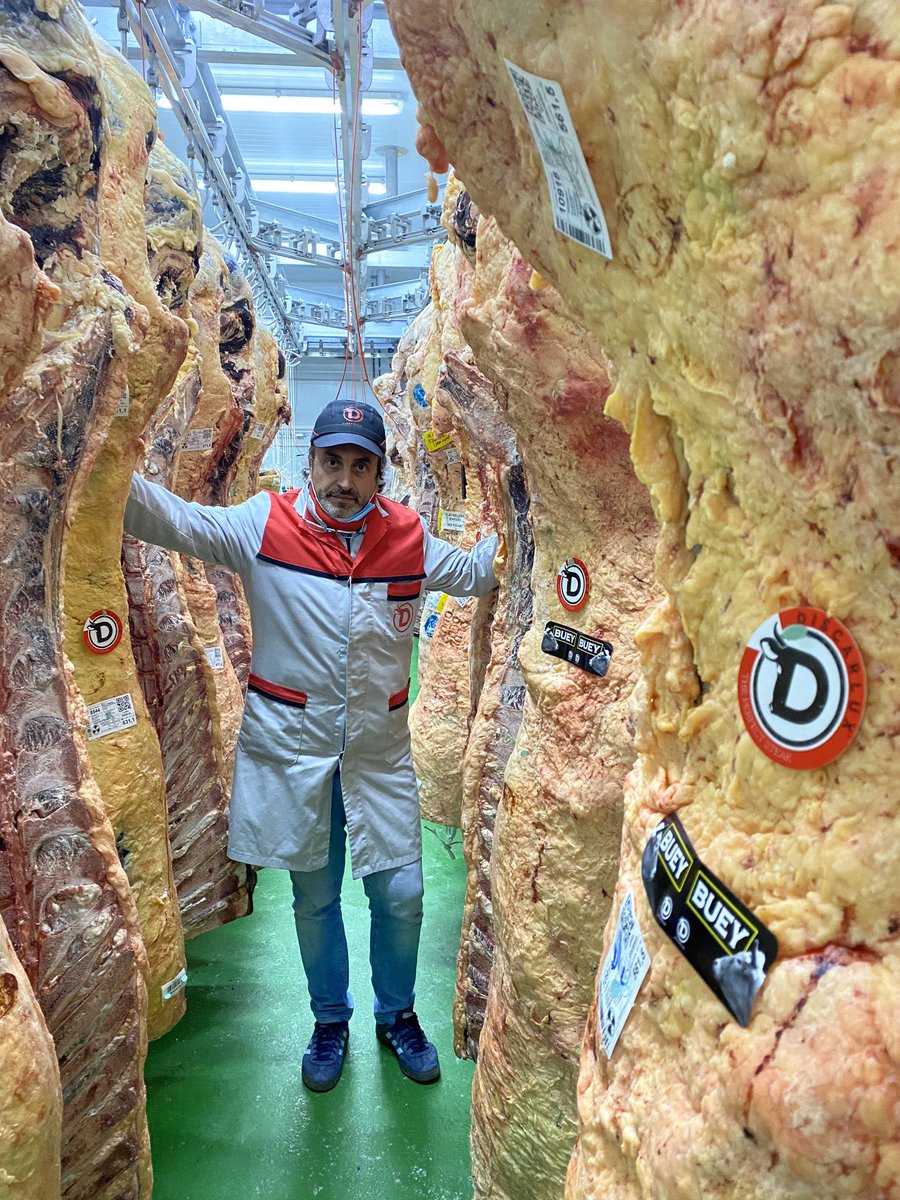 A partir de las 10:30h nos vemos en <a href="/telemadrid/">Telemadrid</a> en el programa <a href="/BuenosDiasTM/">Buenos Días Madrid</a> <a href="/portas1969/">jose portas discarlux 💙</a> 
#Discarlux #carne #carnica #hosteleria #restaurantes <a href="/ICano14/">Iñaki Cano Martínez</a> <a href="/fernandoromay1/">fernandoromay</a>