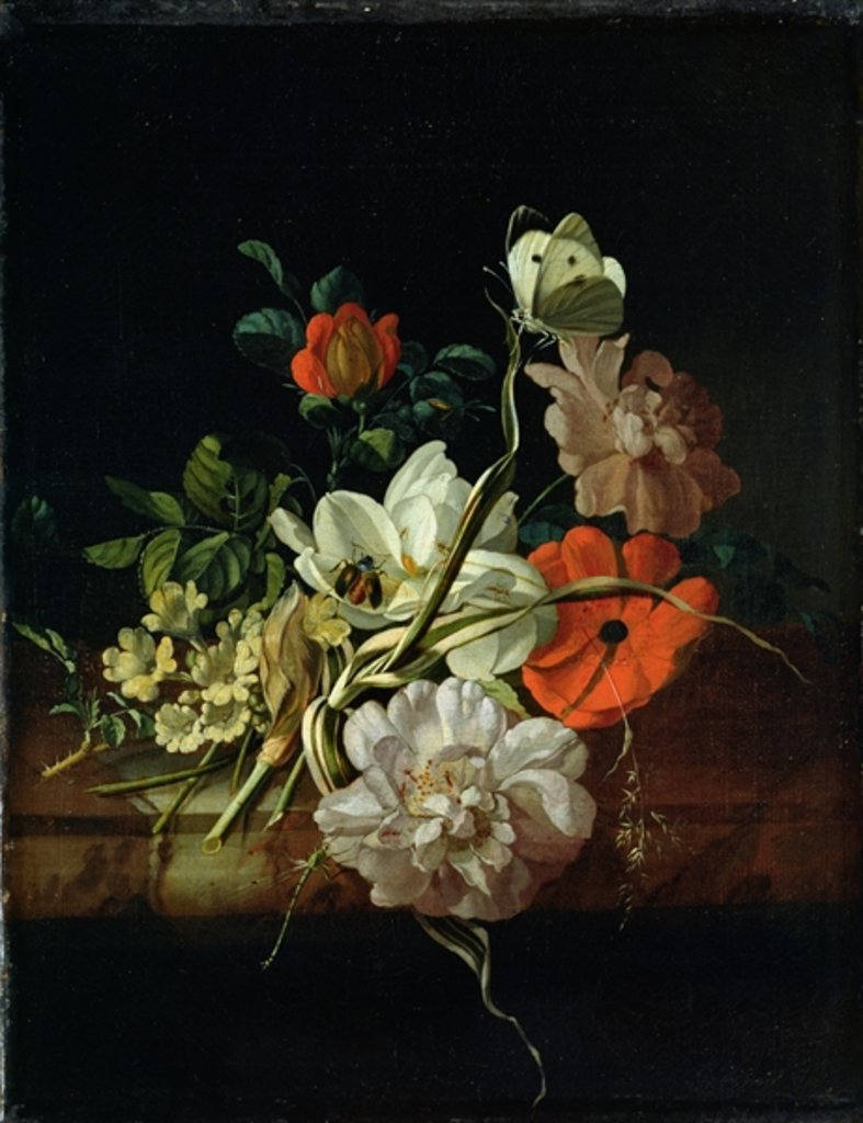 Rachel Ruysch (1664-1750). You can always spot a Rachel Ruysch. No still-life painter of the Dutch Golden Age sounds a darker note than her. The early & #39;forest floor& #39; pictures are especially doomy. Everything withering and dying. Things get brighter later on. But not much.