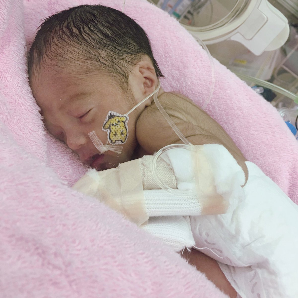 ケイティ あっという間に2歳だよ 胎毛期も髪の毛逆立ち期もお顔ぷくぷく期も気づくとなくなってしまってて寂しい気持ち