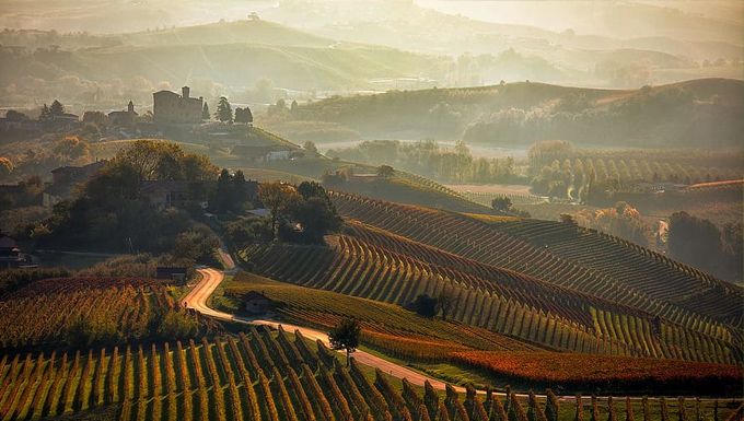 Barolo “El rey de los vinos”. | via <a href="/decantalo/">Decántalo</a> buff.ly/33RvyP5 #vino #culturadelvino #bodegas #enoturismo #segovia #vinoymoda #wine #winelovers #maridaje #enoinfografia