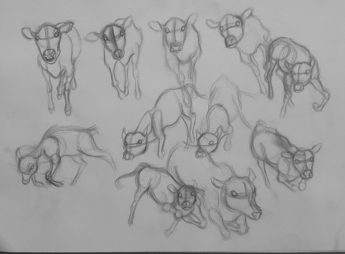 BeccaMatthews8's tweet photo. Calf sketches !
#cow #calf #babycow #veganism #Vegans #vegan #animals #AnimalRights #animalliberation #sketchbook #sketches #Sketching #drawing #drawings #gesturedrawing #lifedrawing #art #animation https://t.co/T37dASpvYT