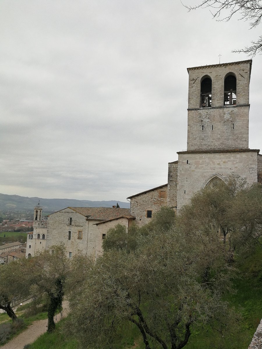 ImpronteNelMondo tweet media